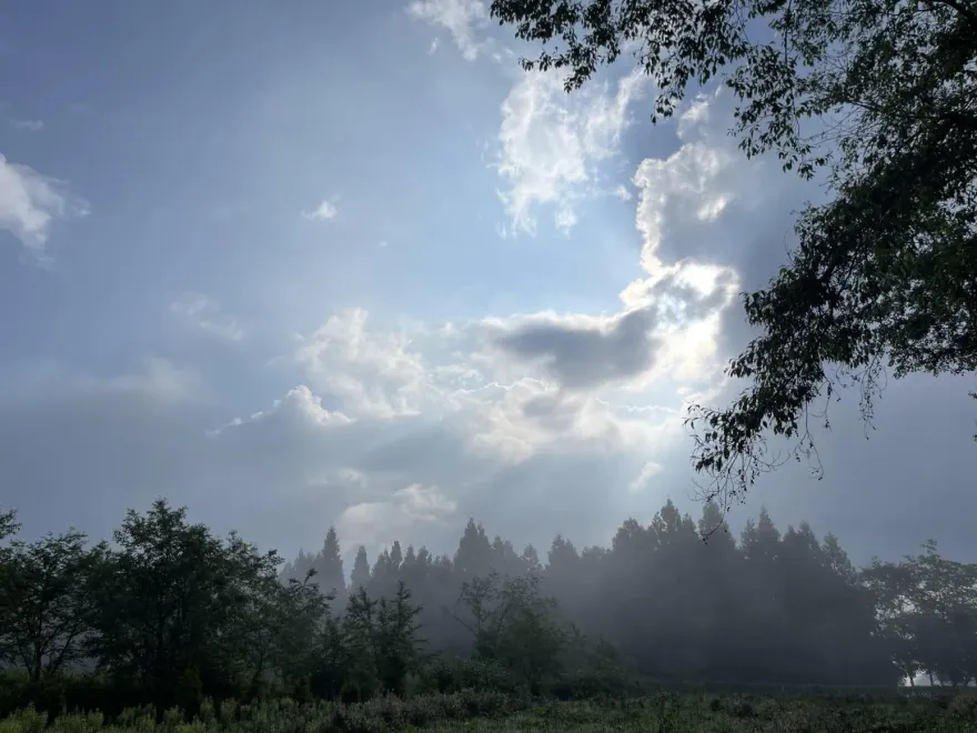 暑趣玩/到台大實驗農場消暑！　享受清新空氣、體驗採蔬菜吃美食