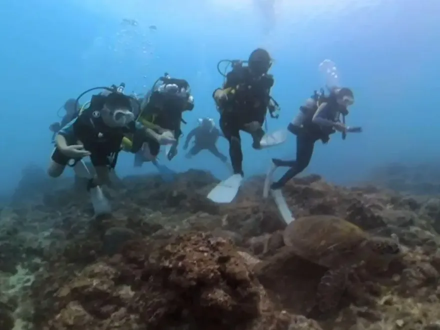 影/屏東潛海戰將出發！潛水「清除37公斤垃圾」　海龜優游畫面曝光