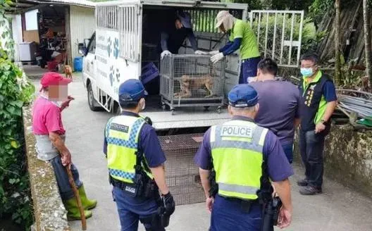 梅嶺3獵犬惡名昭彰遭沒收！連巡山員都被咬傷　動保處今聯手警方上山除3害