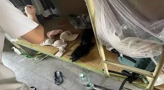 網路交友遇詐騙…他突襲女友家嚇傻　同床共枕的竟是「男兒身」