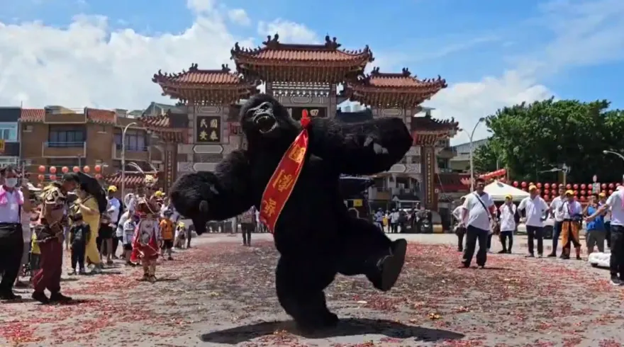 影/大猩猩來拜關聖帝君啦！　2米高猩猩太陽下熱舞10分鐘真實身分曝光