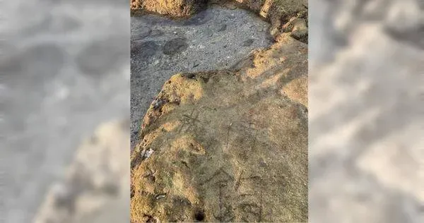 「楊博鈞」是你嗎？小琉球珊瑚礁留名　管理處揪兇可罰500萬