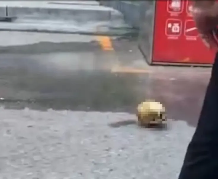 慎入！大陸江蘇垃圾桶撿到人類頭顱骨　沒有下巴「還有燒灼痕跡」