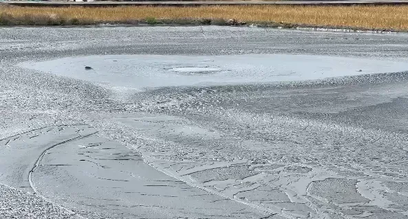 影/今年第二發！　屏東萬丹泥火山再噴「3m高泥漿」