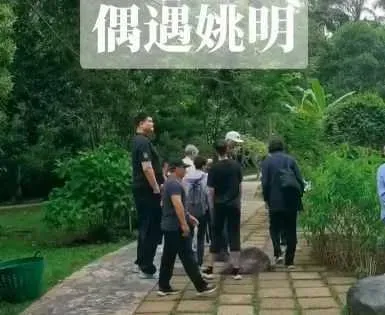 影/野生捕獲！200Kg姚明「一拐一拐」現身植物園　13歲愛女身高快190cm