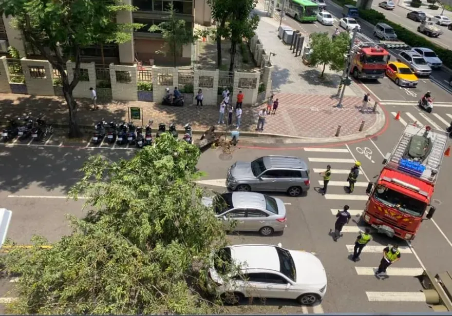 快訊/台中鬧區路樹倒塌驚悚砸車！4車遭砸幸無人傷