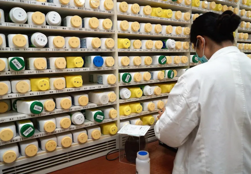 炎夏趨除寒邪　中醫「三伏貼」緩解過敏、氣喘、腹瀉！兒童也適合敷貼