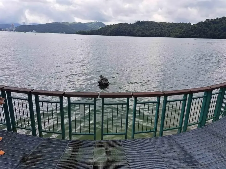 日月潭「九蛙」釀6級強震！命理師曝風水內幕：癩蛤蟆毀台灣龍脈