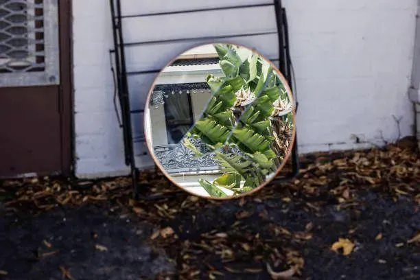 鏡子照你家+鬼頭面具掛樹上！惡女與鄰居口角出奧步　法院判決理由讓他崩潰