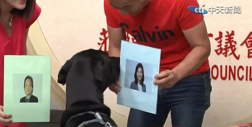 影/狗界「章魚哥」預測這區立委選情秒選她　徐巧芯：正藍軍狗狗