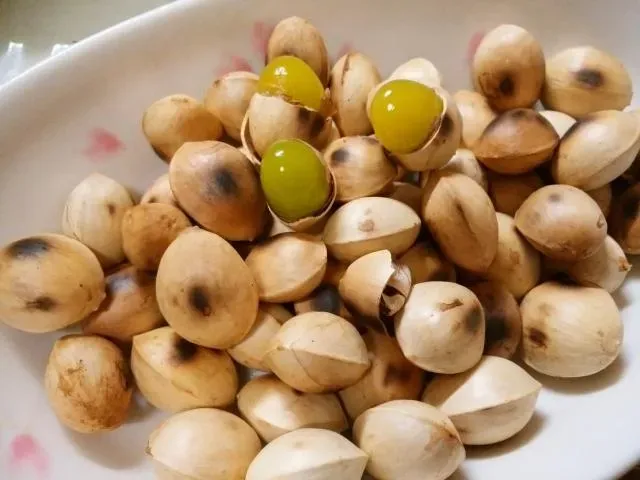 銀杏不只補腦！更能抗氧化、緩衰老　但「吃這藥」不建議補充