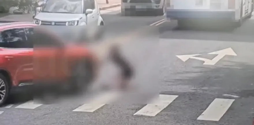 行人地獄又一例！北投休旅車斑馬線未禮讓　女路人慘遭撞飛送醫