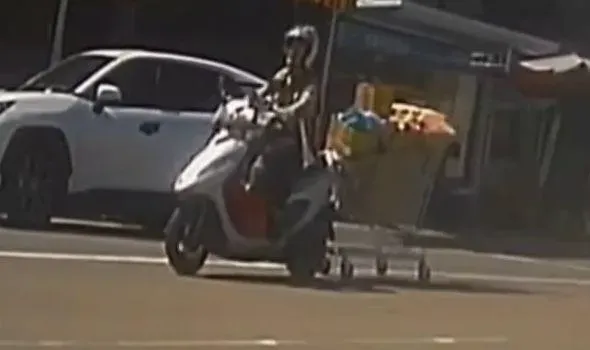 影/颱風天採買連購物推車也拖回家？樹林街頭驚現超狂「聯結車」　警方：要罰