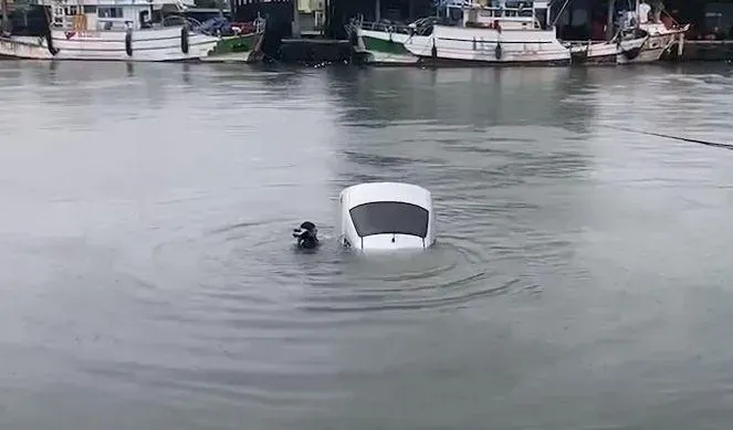 快訊/路不熟暴雨中男子「連人帶車」墜海！高雄海巡急下水驚險救人