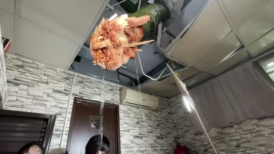 杜蘇芮災情/驚悚插到客廳！基隆邊坡大樹整根「捅」進民宅　幸無傷亡