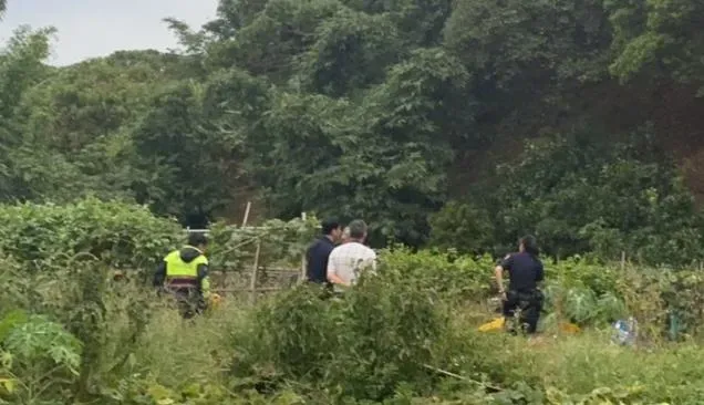 快訊/新北淡水驚見「趴屍」！男子「下半身在田邊水溝」明顯身亡