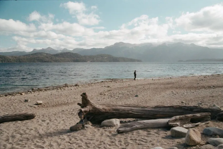 杜蘇芮颱風遠離！台東富岡沿岸遍布漂流木　保育類水鹿遇難遺體被盜