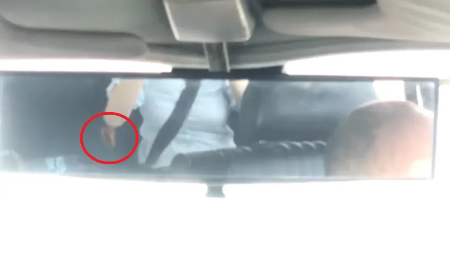 影/搭計程車卻坐到「移動蟑螂屋」　多隻小強鑽動嚇得頭皮發麻