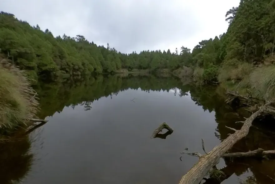 宜蘭太平山驚爆山難1男失聯10天！家屬懸賞20萬：「希望能帶他回家」