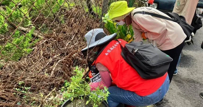 卡努颱風過後登革熱疫情升溫！紫斑、高燒症狀快就醫
