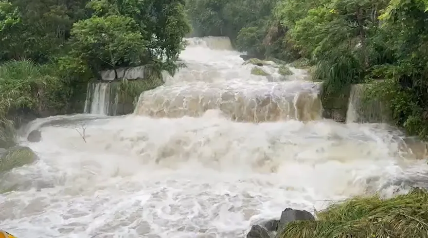 影/暴雨狂沖阿里山！阿里山林鐵4日全線停駛　雨量下破230毫米