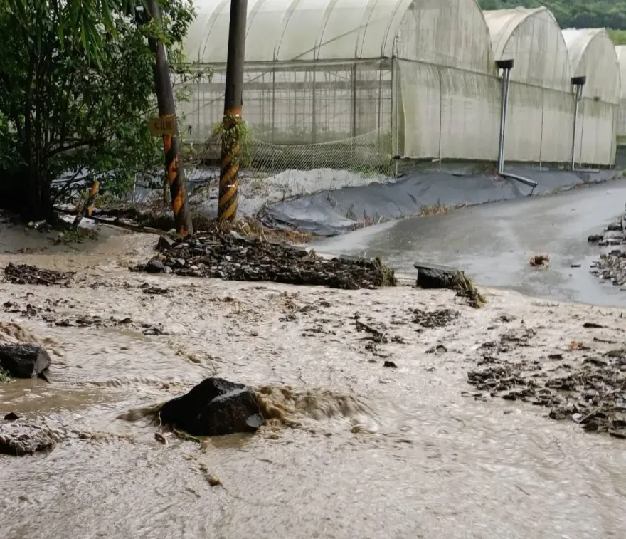 影/卡努「土石流重創南投」！交通中斷農民悲喊：農作物腐爛賣不出去