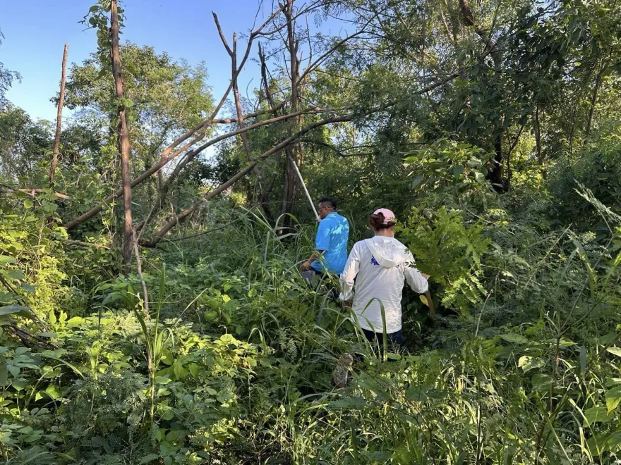 快訊/上班出門卻反常！萬丹鄉公所主任失聯　高屏溪草叢尋獲遺體