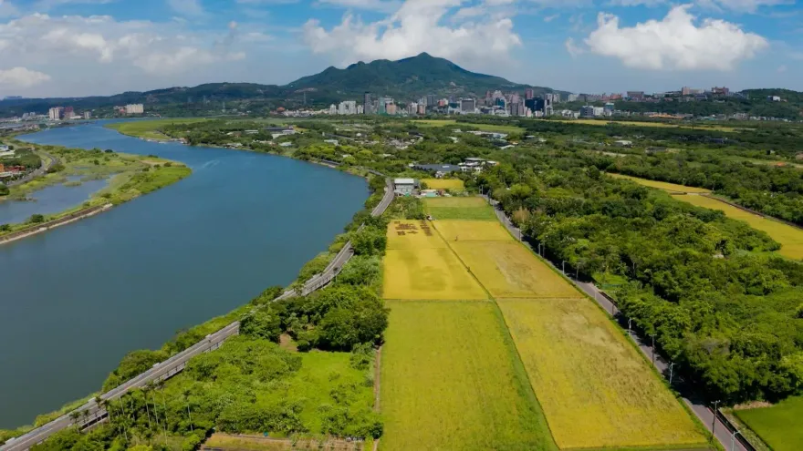 「這個人」喊關渡平原變「AI科技谷」　他曝「1理由」：柯文哲做不到你也不行