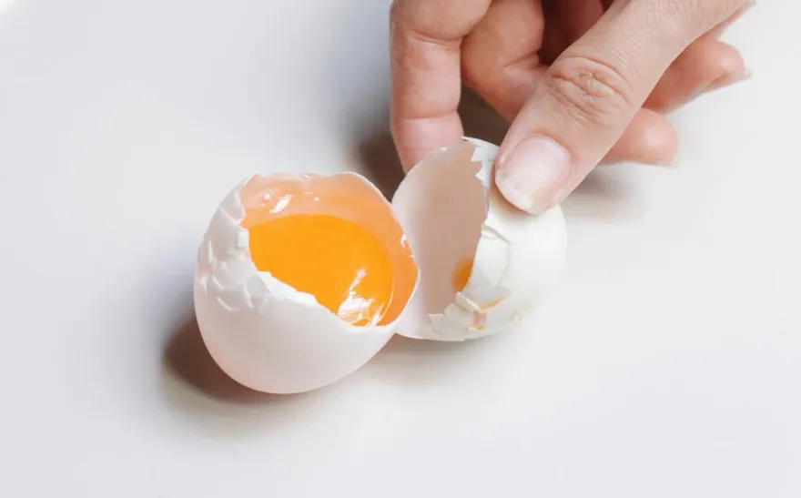 被1顆雞蛋砸到「腦震盪＋肌肉拉傷」　台女怒告男子求償135萬「結局曝光」