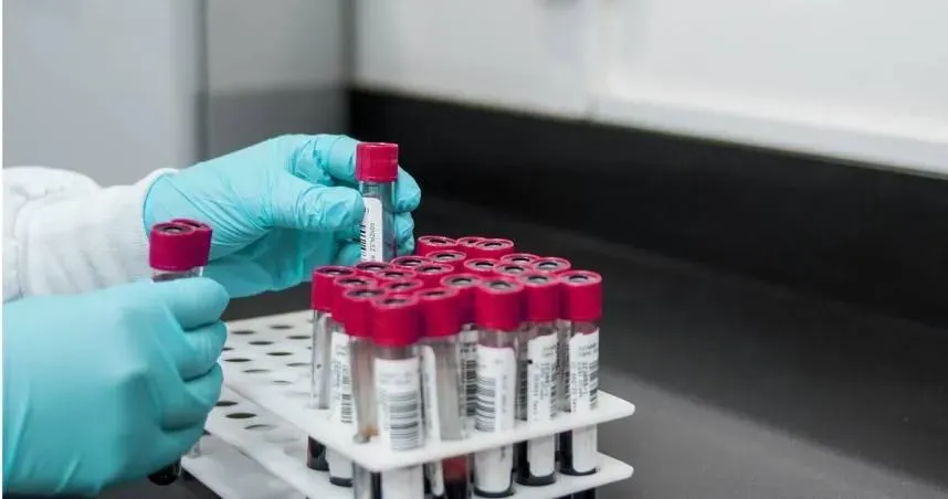 血型決定智商？4血型「聰明度排行榜」出爐　第1名擁雙重優勢