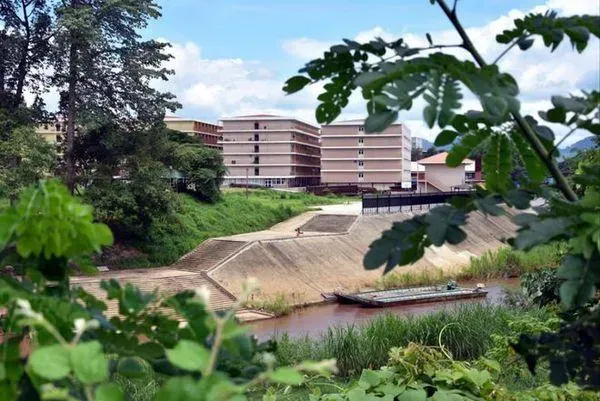 港媒揭泰緬邊境詐騙園區「豬仔超2萬人」　逃亡者曝：一天「業績」最高640萬元