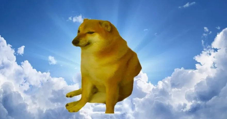 快訊/迷因傳奇「小廢柴」驟世！飼主悲痛發文湧全球粉絲哀悼