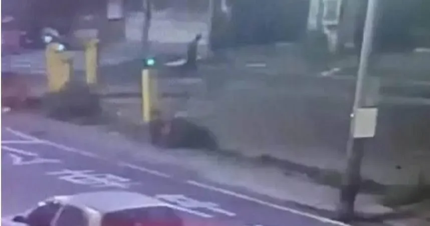 神經太大條！彰化7旬智障翁徒步外出失蹤　家人4天後報警：以為會自己回來