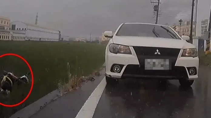 影/真的是「犁田」！天雨路滑騎士失控　1秒直達田中
