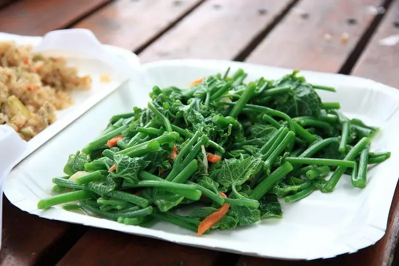 龍鬚菜超營養！可改善脂肪肝、預防癌症　專家：「2禁忌」要注意