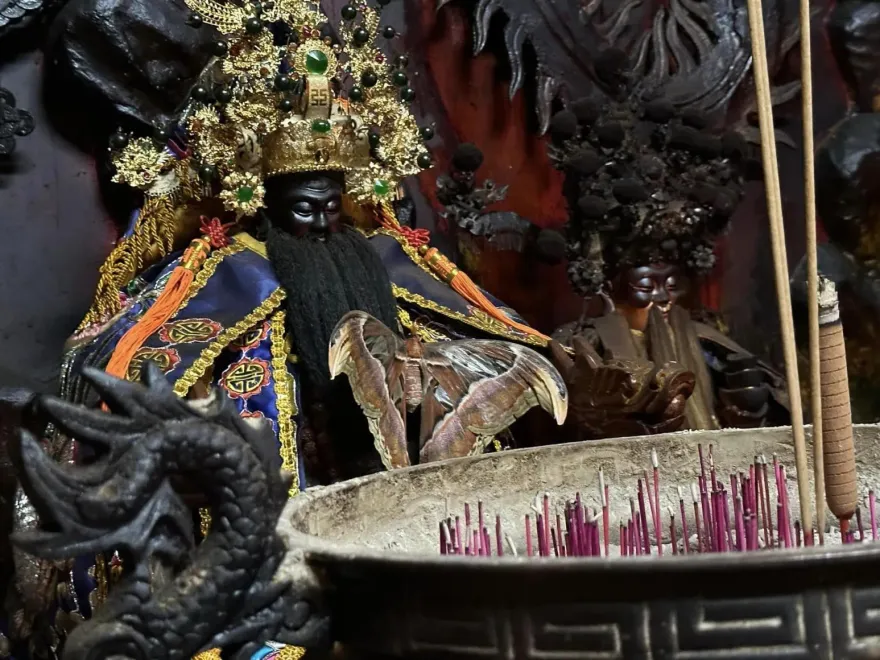 影/帝爺公蛇離去…26cm巨蛾翩翩飛入天受宮！　信眾曝：代表道別及祝福