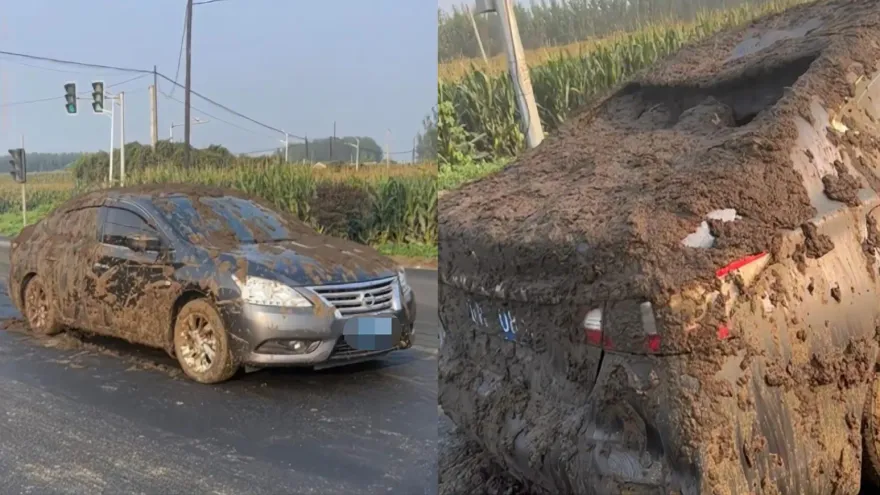 影/最有「糞」量車禍！等紅燈被運屎車追撞「瞬間臭炸」　車主崩潰：直接灌進來