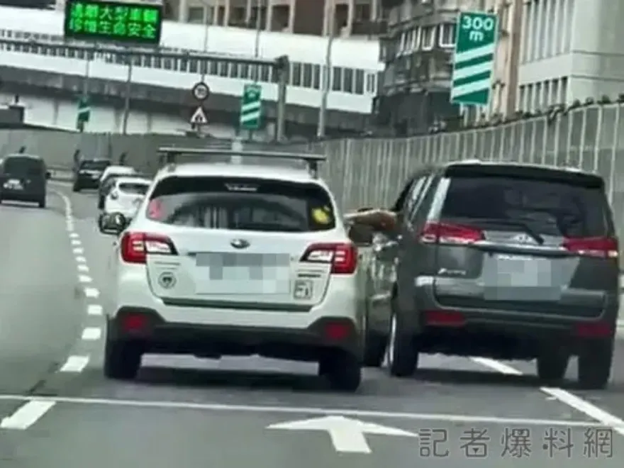 影/台64線「高架猴子」出沒！恐怖逼車又伸手挑釁　驚險畫面曝光