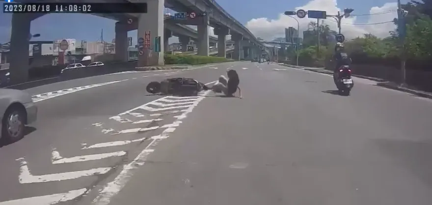 影/安全帽給車戴！8+9撞車「跳Breaking」臉磨柏油　網細看：原來有兩隻猴