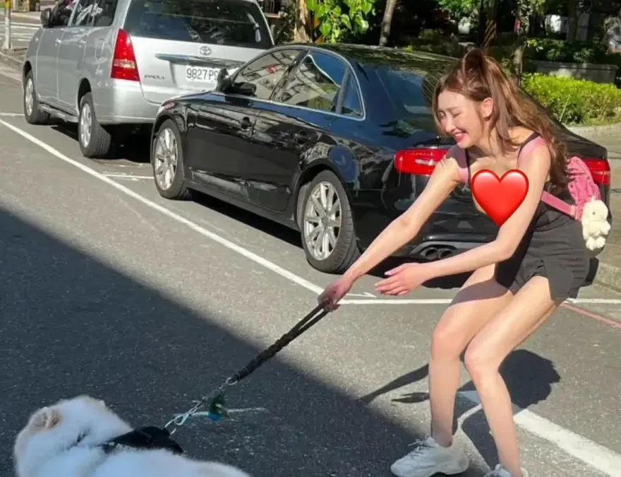 影/G奶妹偕愛犬過馬路！突拔河賽「晃雪球」　男駕駛們「甘心禮讓」變紅燈無悔