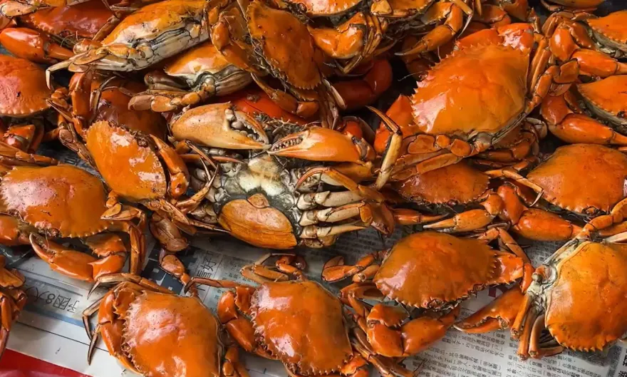 普渡攻略/好兄弟痛風餐！彰化88隻螃蟹上桌　阿嬤燦笑18大龍蝦拼場