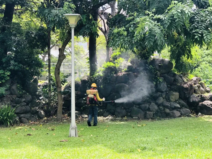 快訊/北市北投區登革熱病例+1　衛生局籲颱風前後清除孳生源