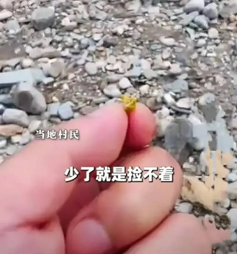 影/係「金」ㄟ？北京洪水過後河道現碎金　上百村民狂撈「回收價1克440元」