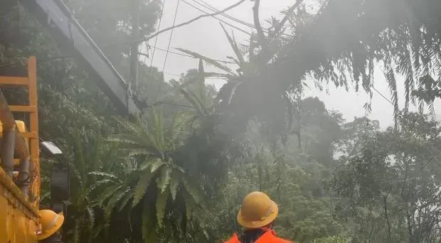 海葵颱風/台東359戶停電！預期今晚進入損壞高峰期　台電：已派員進行搶修