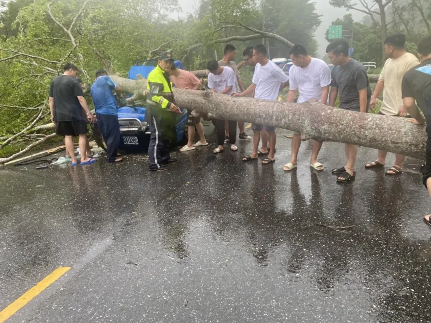 海葵颱風/花蓮卓溪鄉傳災情！台9線大樹倒塌砸爛貨車   駕駛乘客送醫