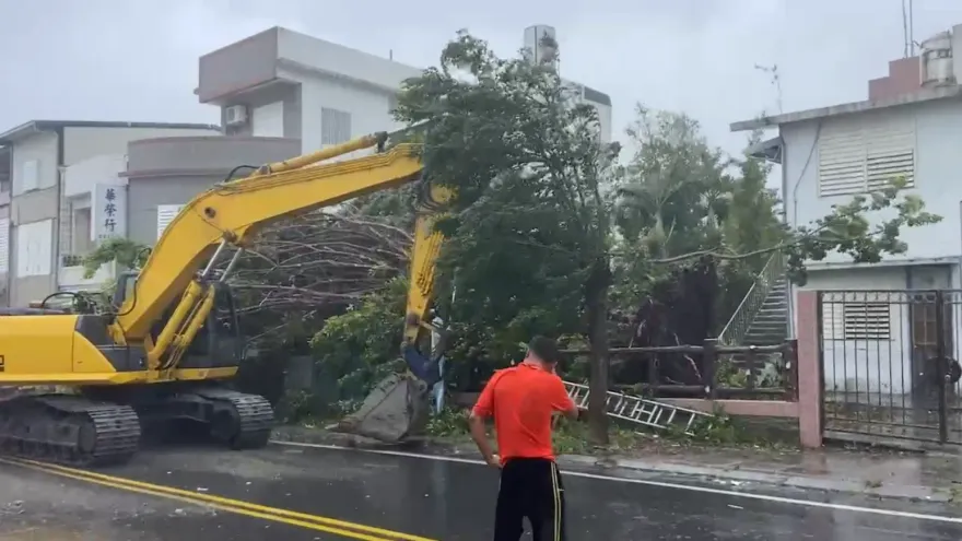 海葵颱風/台東成功直擊強風將路樹攔腰折　民眾：電線桿都會晃