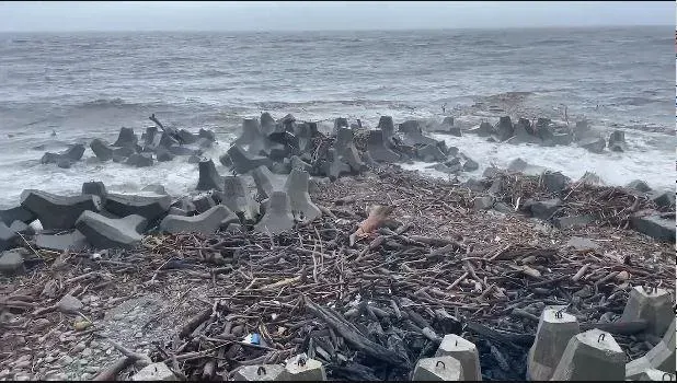 海葵颱風/海葵15級強陣風襲台東　「漂流木海」現富岡漁港外海...震撼畫面曝