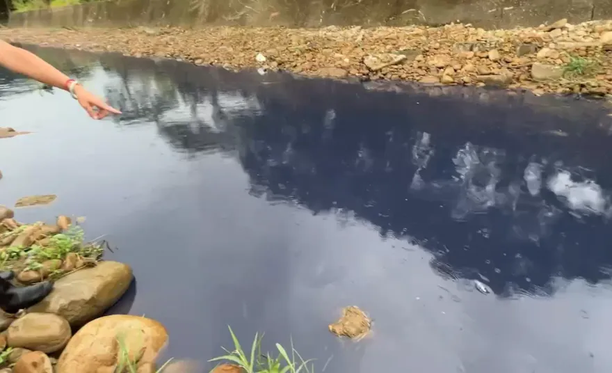影/心痛！湖口德盛溪原生魚種全死光　竟是「潤泰歇業廠」溢漏釀禍