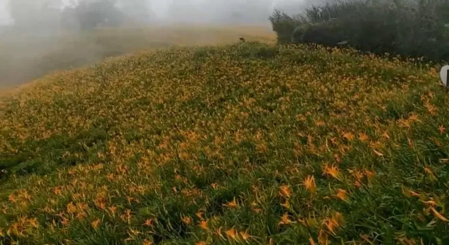 海葵颱風/赤科山路斷又停電　百人受困、農損單日破百萬
