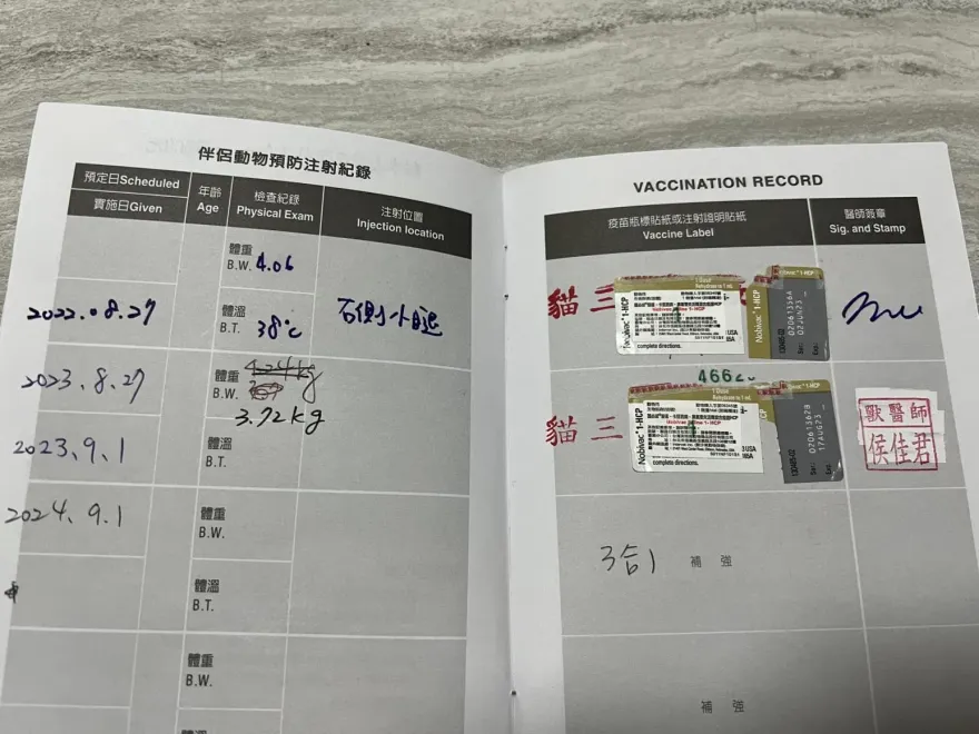 竹北獸醫院10貓打到過期疫苗！ 動保所已前往稽查：最高罰45萬